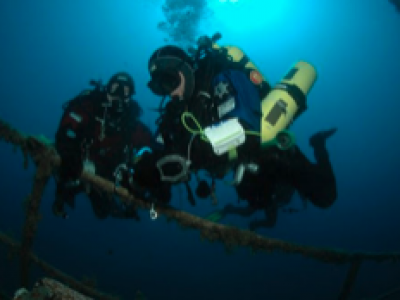 SUALTI MUAYENE HİZMETLERİ